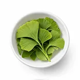 Ginkgo Biloba